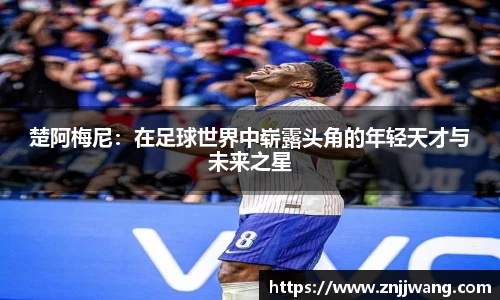彩神彩票vIII