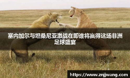 彩神VI首页