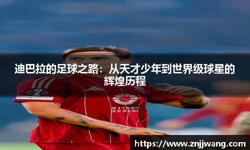 彩神VI首页官网